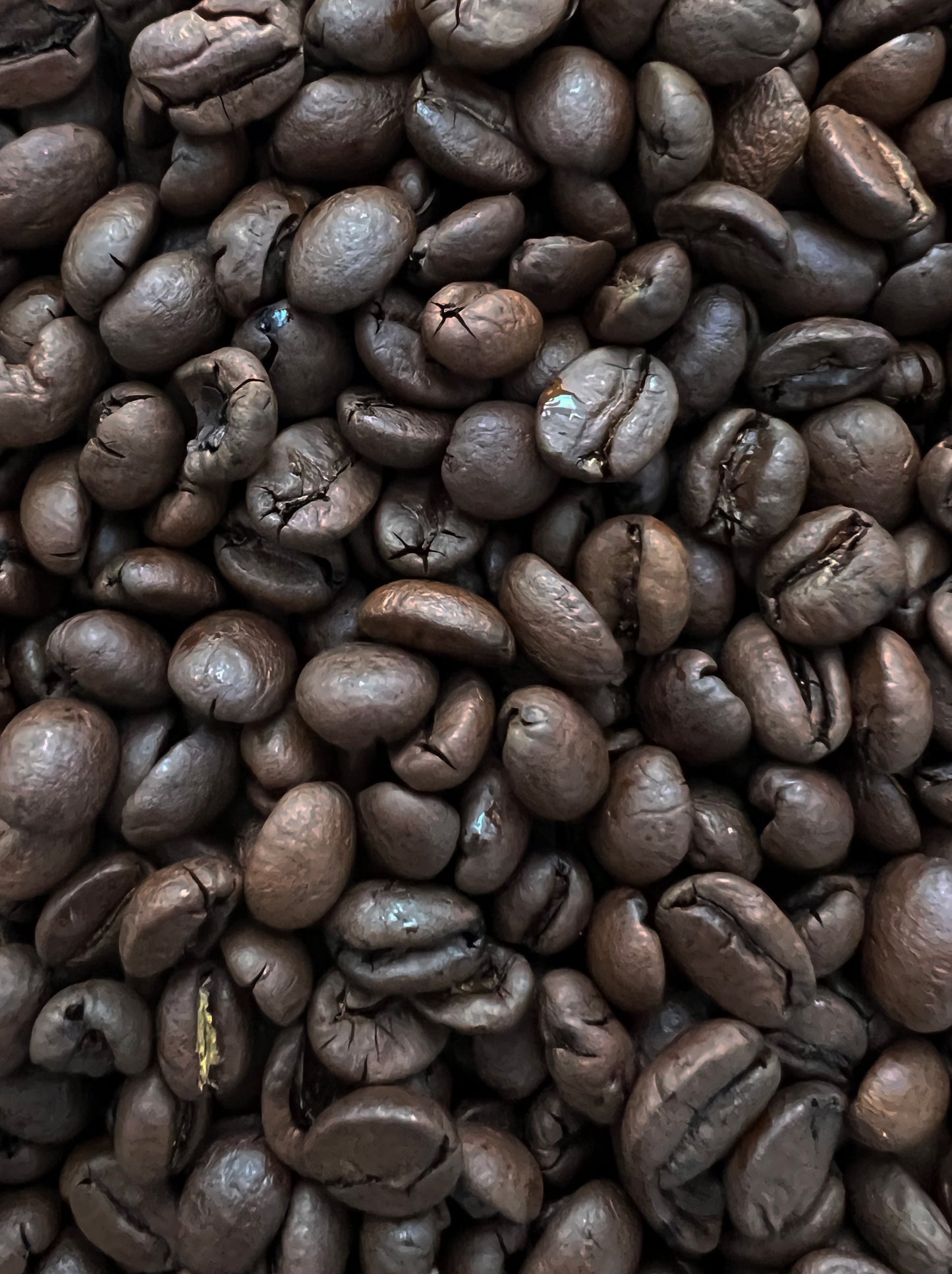 Decaf Colombia Sugarcane Decaf Medium Roast 12oz