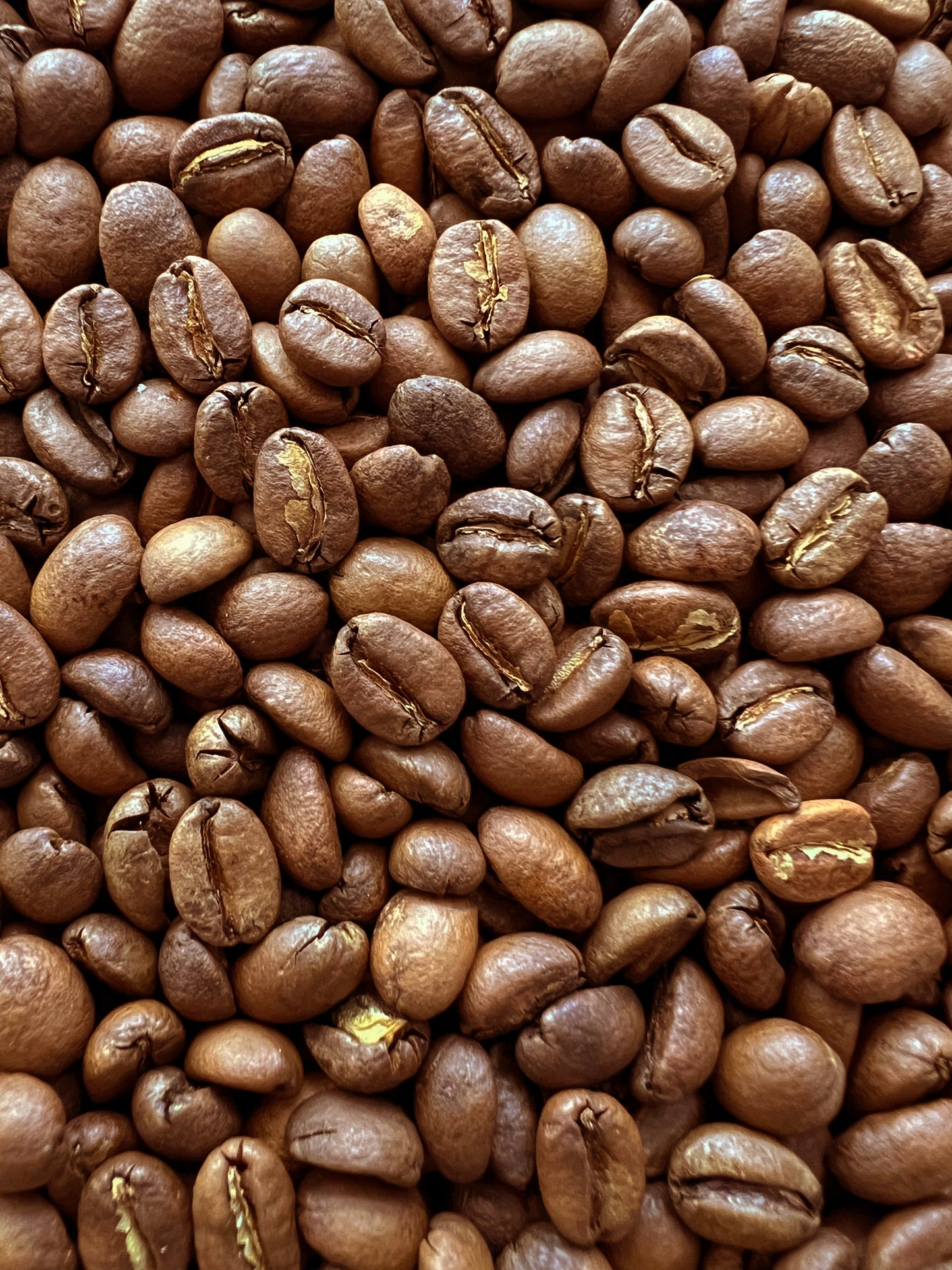 Ethiopia Yirgacheffe Light Roast 12oz